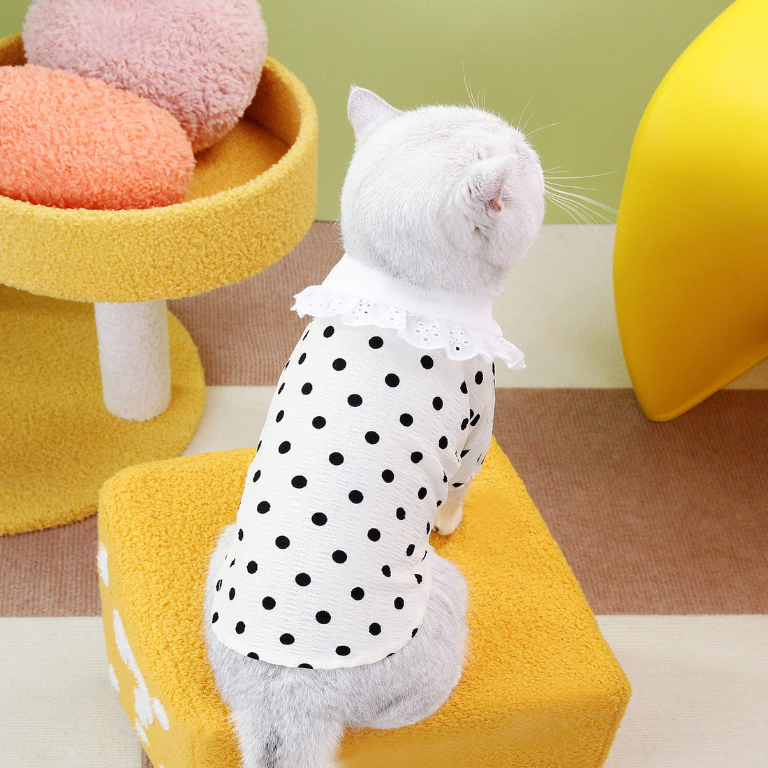 Blue Ragdoll Style Pet T Shirt Clothing Apparel