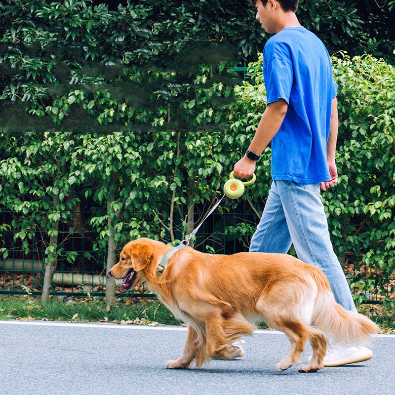 Reflective Retractable Pet Leash Durable Rope Design
