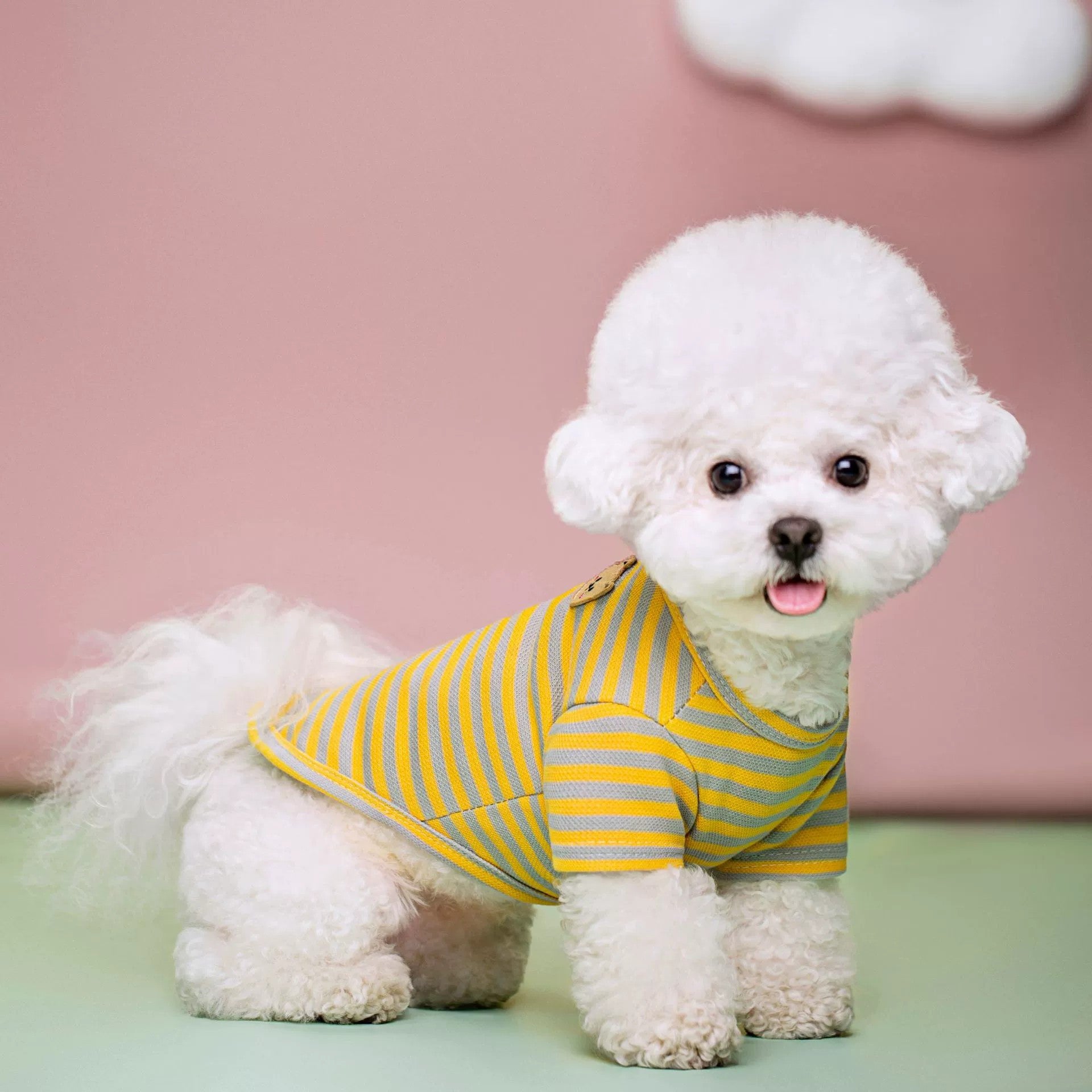 Breathable Summer Pet T Shirt For Comfort