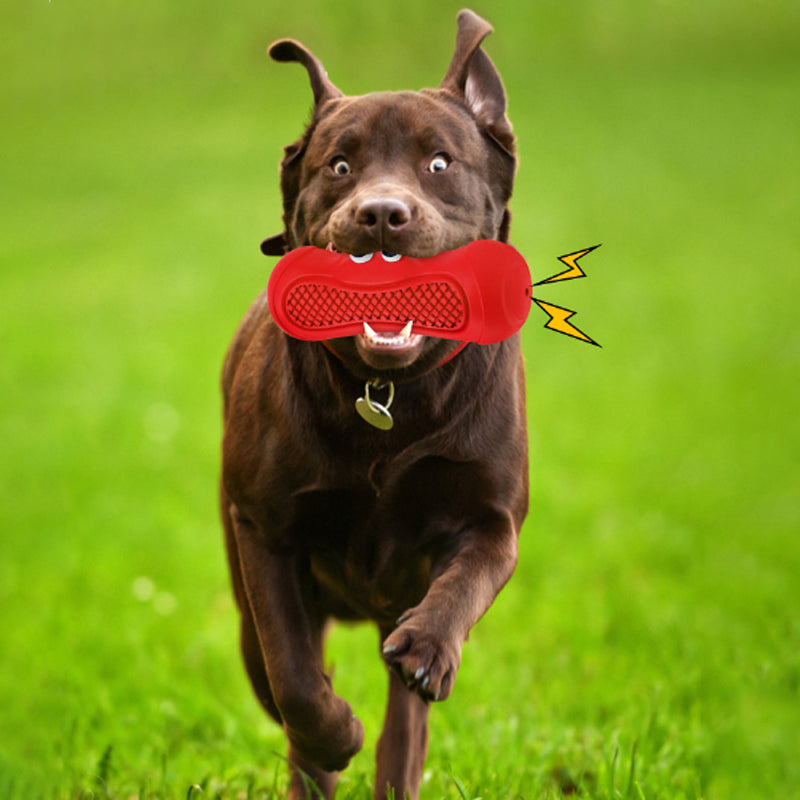 Vocal Rugby Shaped Pet Toy Natural Rubber Bite Resistant