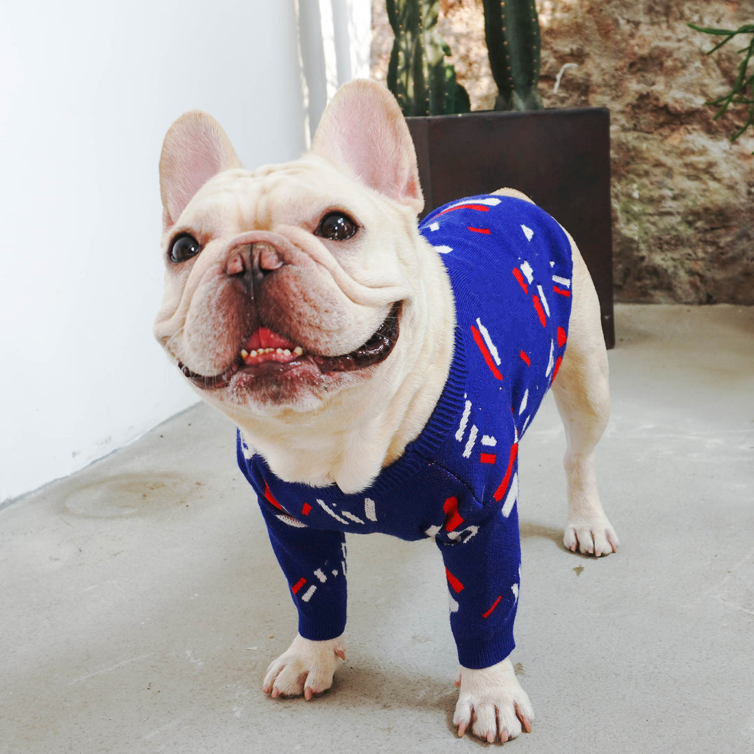 Warm Knitted Pet Sweater For Small Breed Comfort