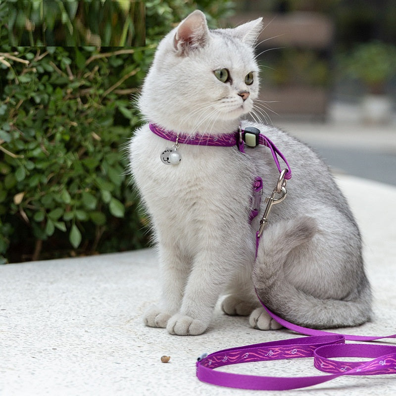 Pet Chest Strap Vest With Bell Leash Package For Small Pets