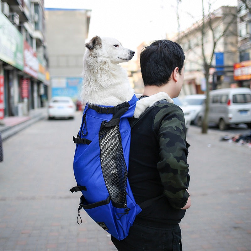 Portable Pet Backpack Carrier For Outdoor Travel And Comfort