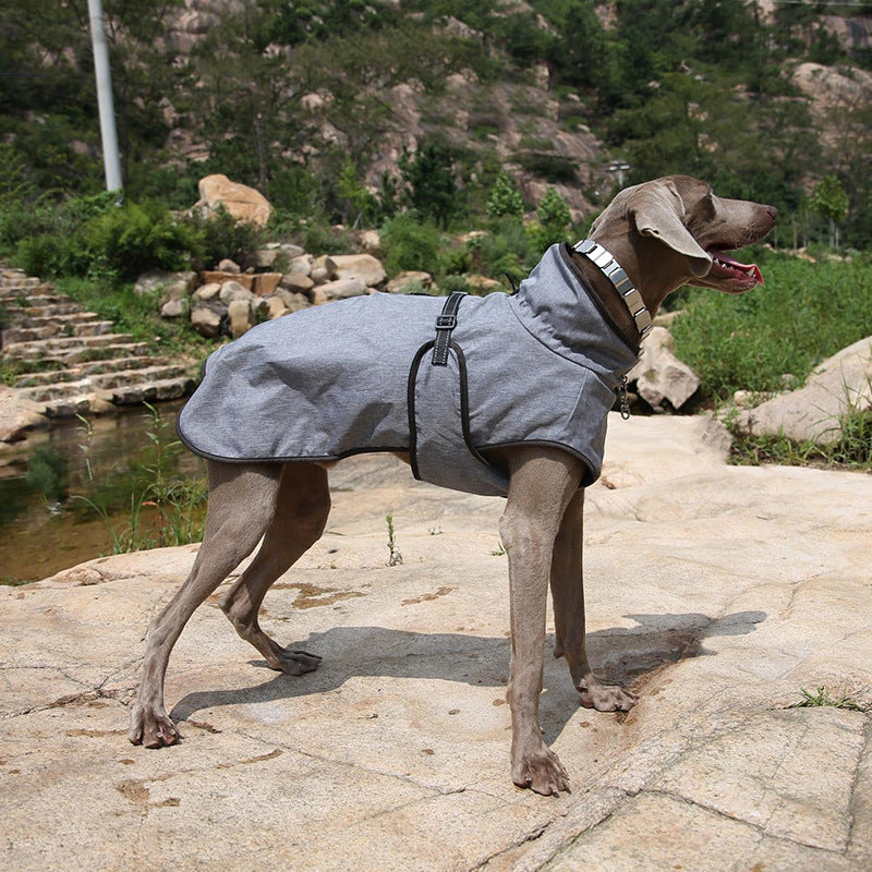Winter Outdoor Pet Ski Suit Shell Jacket