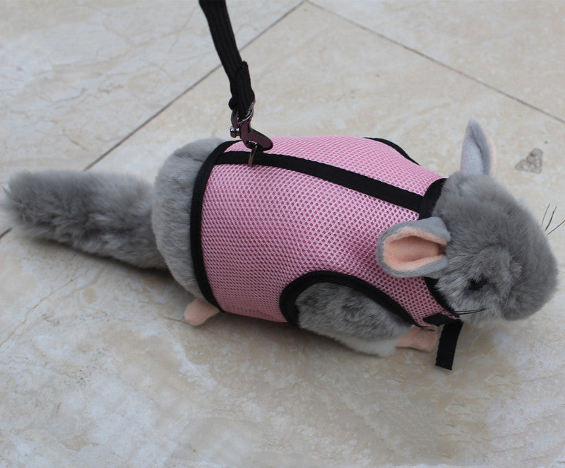 Compact Pet Leash For Everyday Walking Use