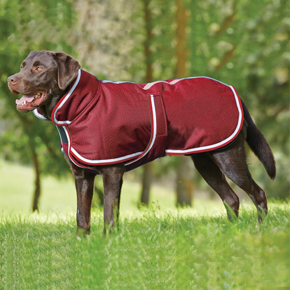 Warm Waterproof Pet Jacket For Autumn And Winter Leisure Wear