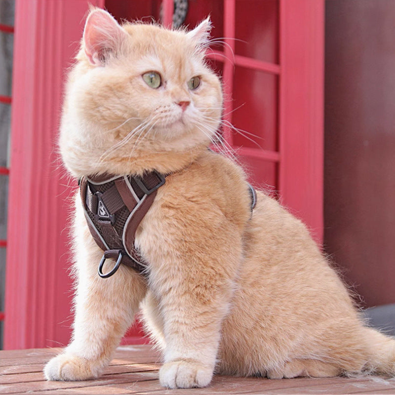 Pet Harness Vest Chest Strap With Leash