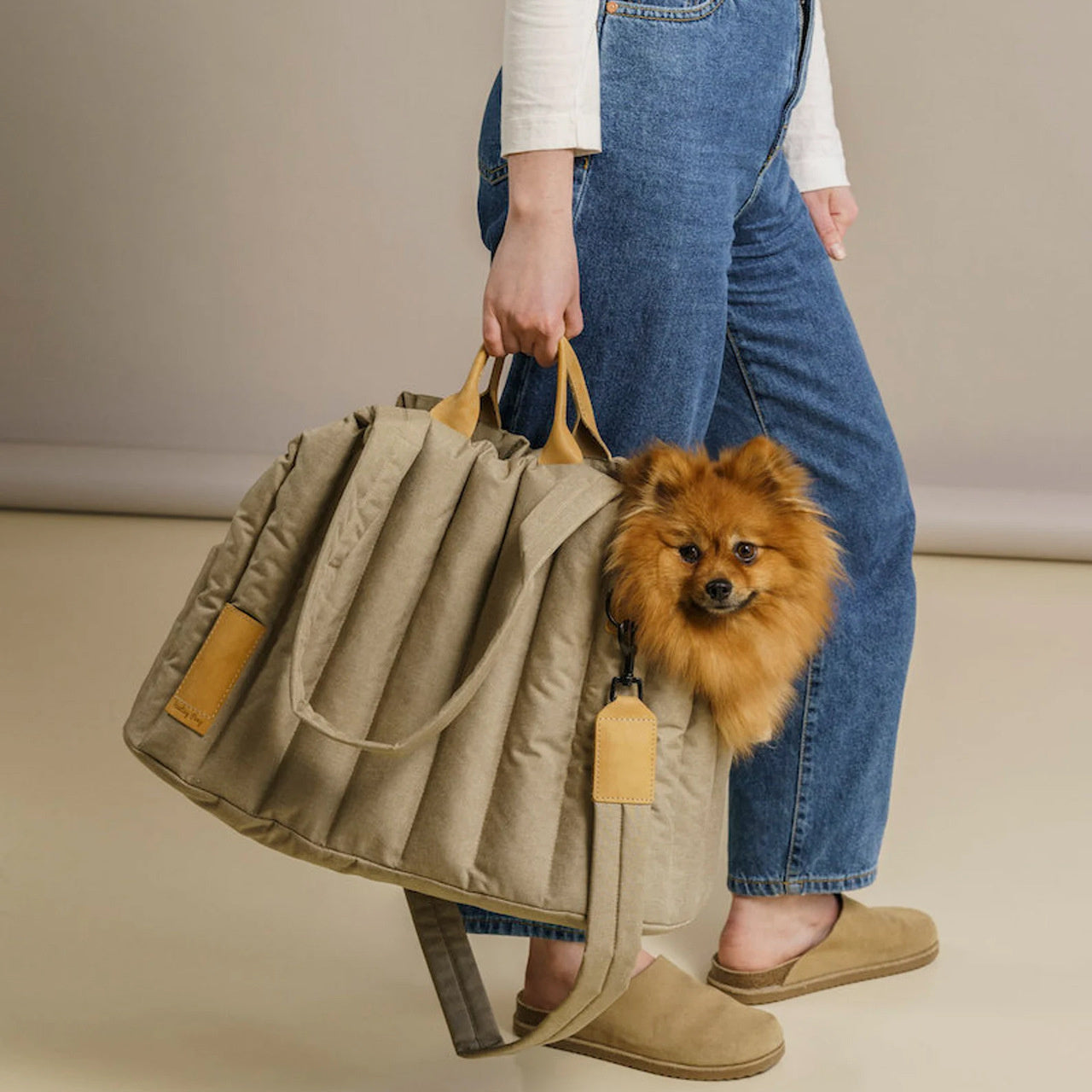 Lightweight Waterproof Pet Carrier Handbag For Outdoor Travel And Fashion Use