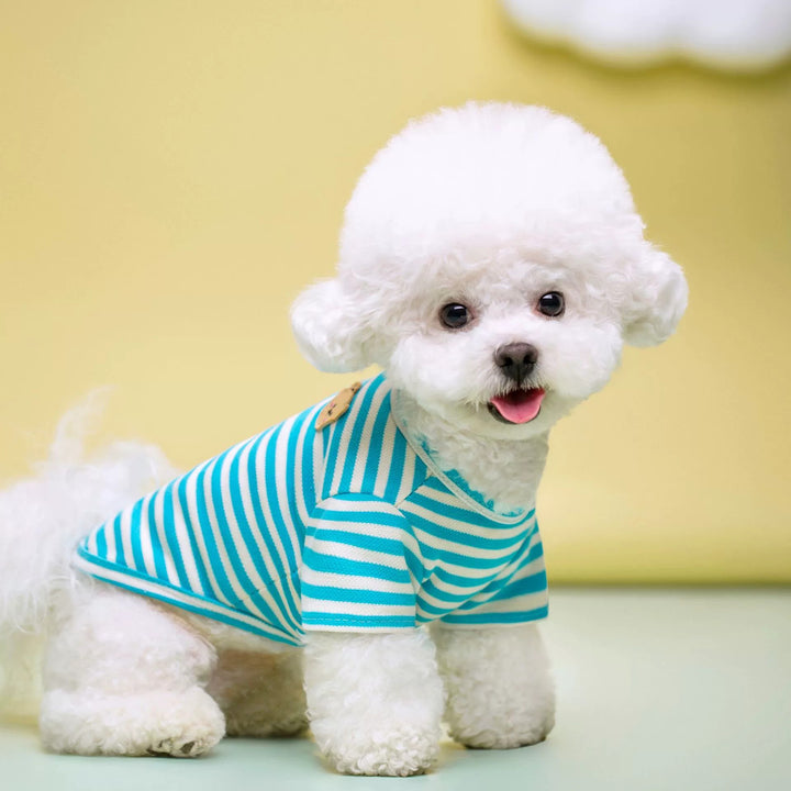 Breathable Summer Pet T Shirt For Comfort