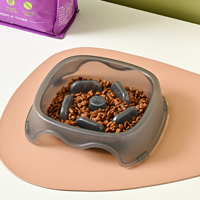 Pet Anti Choking Slow Feeding Water Bowl Dish