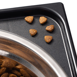 Pet Elevated Feeding Bowl Neck Protection Anti-Tumble Design