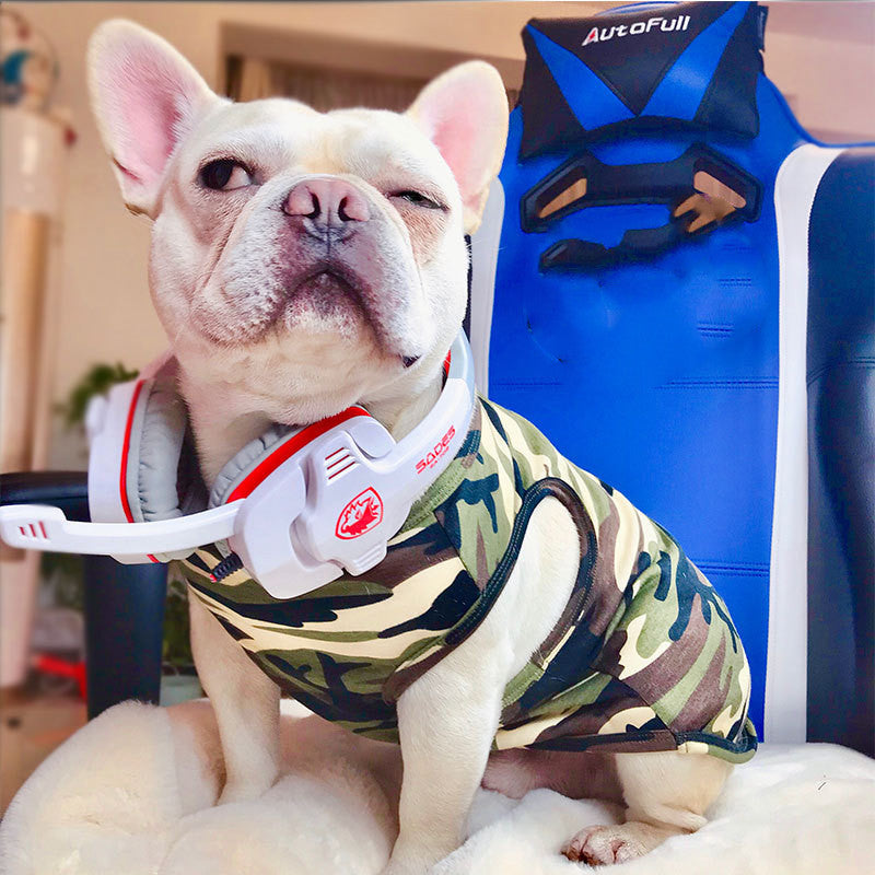 Fashion Personality Summer Pet T Shirt For Comfortable Wear