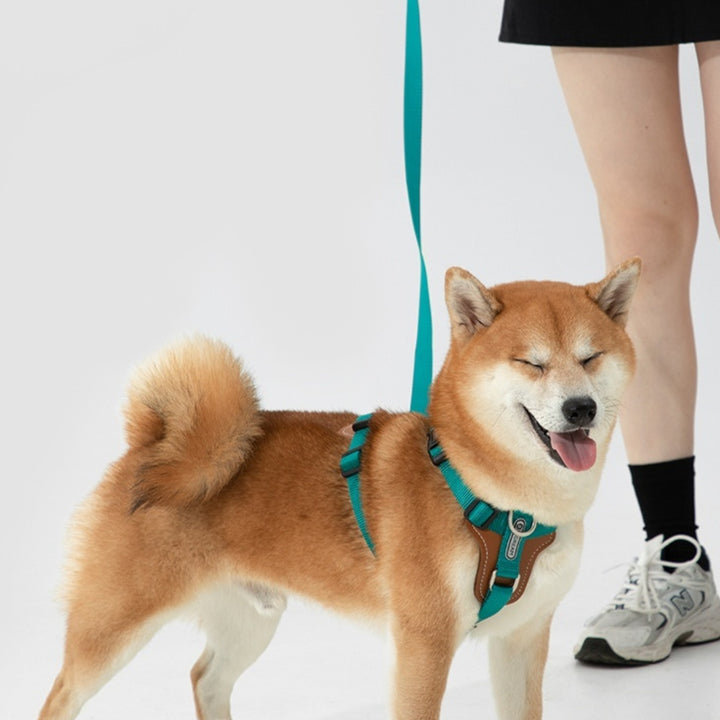 Pet Multifunctional Chest Strap Rope Leash Explosion Proof Design