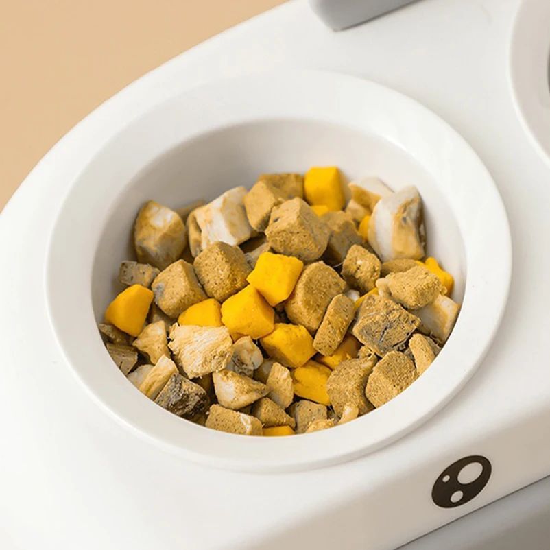 Duck Design Pet Double Feeding Bowl Tray Set
