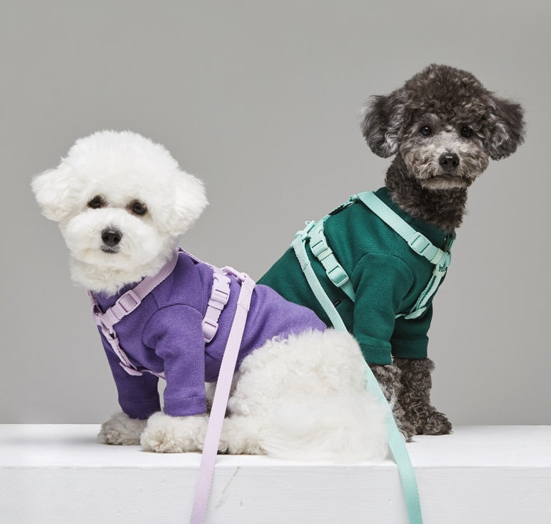 Macaron Style Ins Wind Fashionable Pet Leash Adjustable Walking Rope
