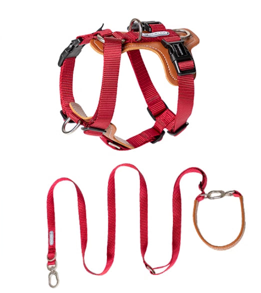 Pet Multifunctional Chest Strap Rope Leash Explosion Proof Design