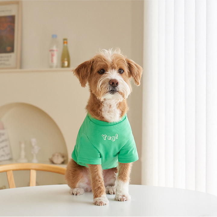 Korean Style Cotton Short Sleeve Pet T Shirt Refreshing Print