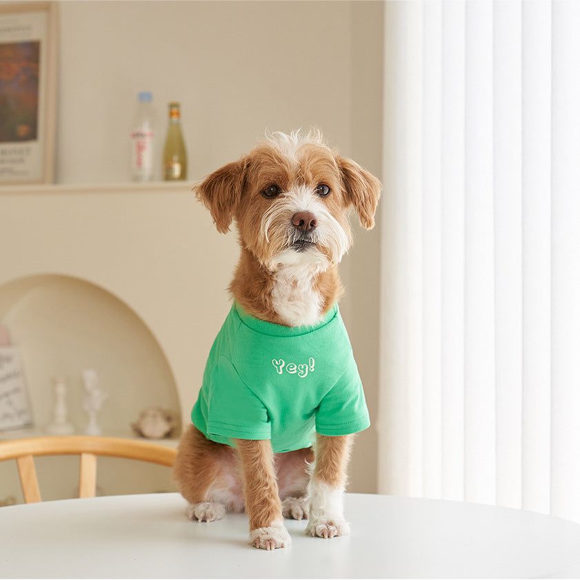 Korean Style Cotton Short Sleeve Pet T Shirt Refreshing Print