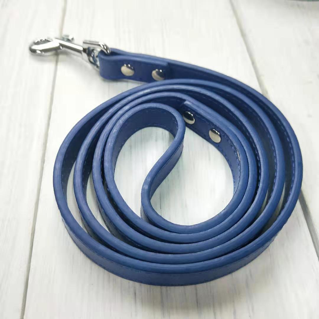 Adjustable Pet Collar And Leash Set