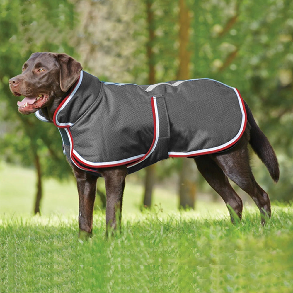 Warm Waterproof Pet Jacket For Autumn And Winter Leisure Wear