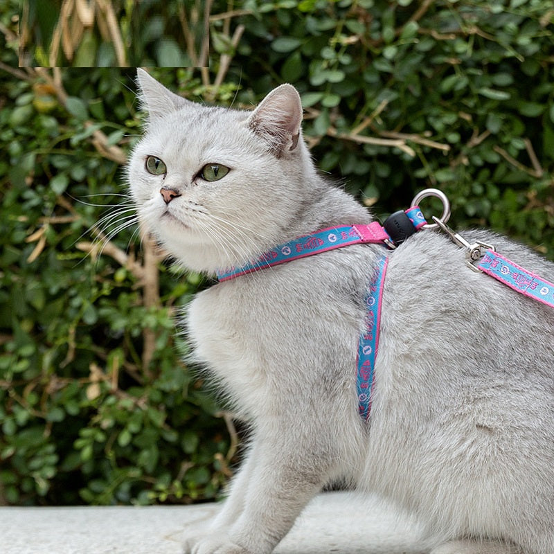 Pet Chest Strap Vest With Bell Leash Package For Small Pets
