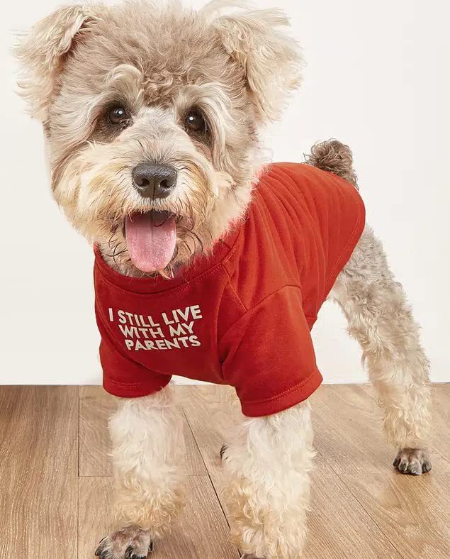 Pet Round Neck T-Shirt Apparel