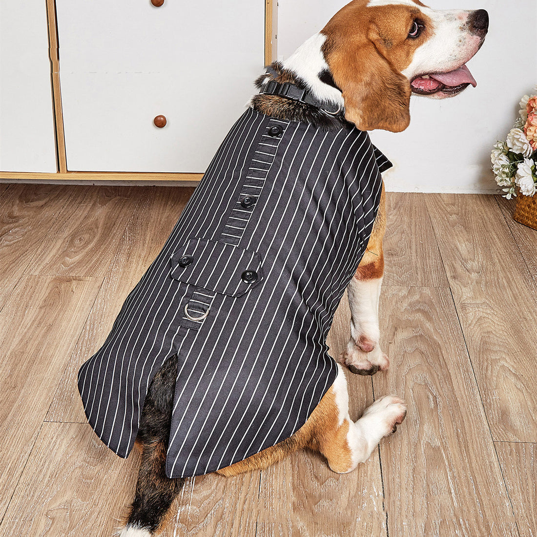 Formal Pet Suit Jacket For Special Occasion Wear