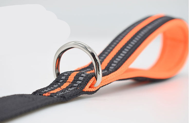 Nylon Assisted Retractable Pet Leash Durable Walking Lead