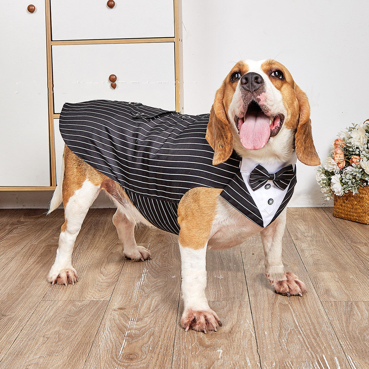 Formal Pet Suit Jacket For Special Occasion Wear