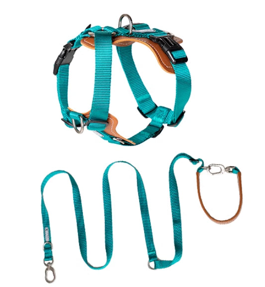 Pet Multifunctional Chest Strap Rope Leash Explosion Proof Design