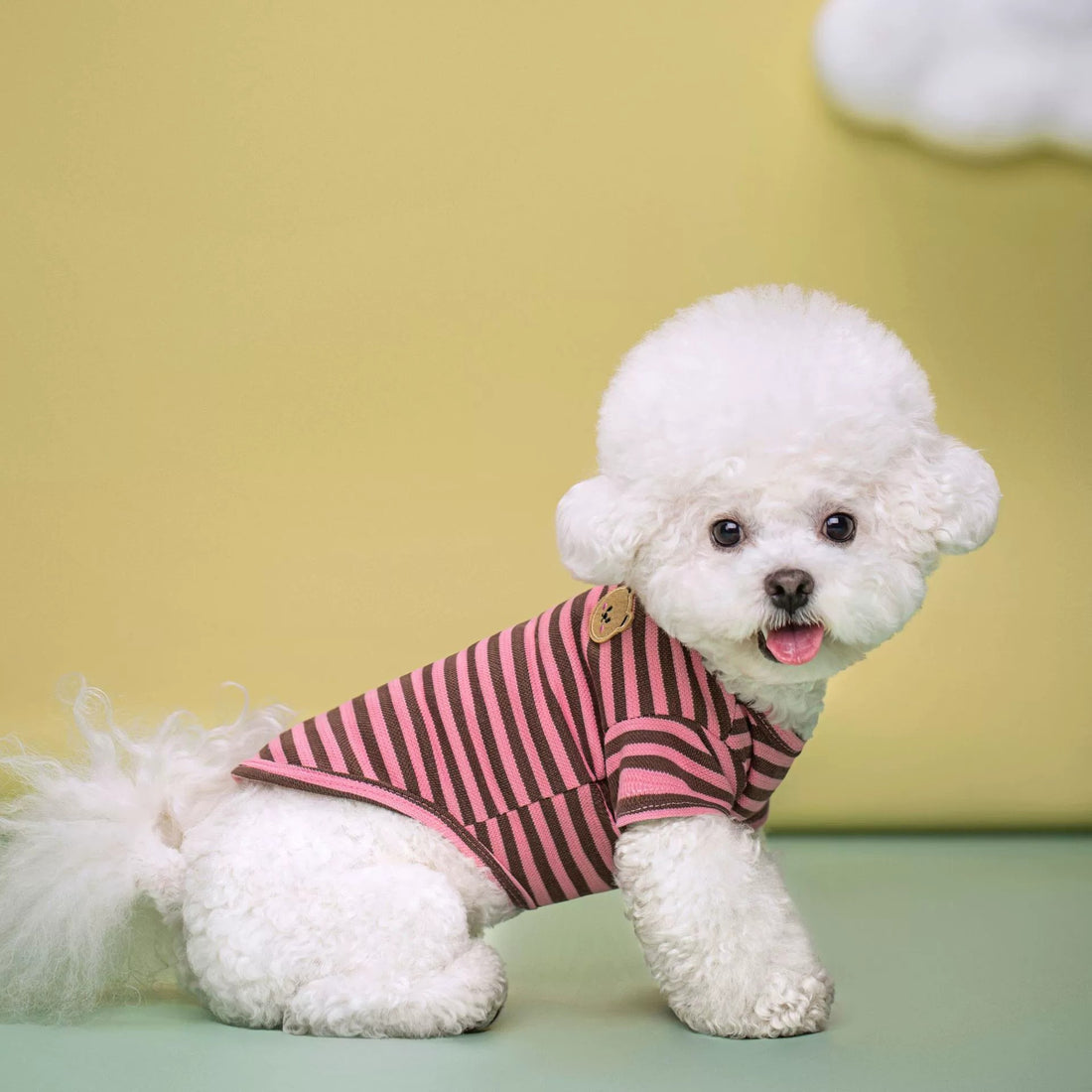 Breathable Summer Pet T Shirt For Comfort