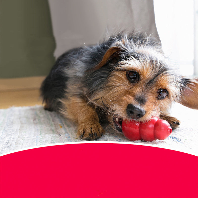 Bite Resistant Rubber Pet Grinding Chew Toy