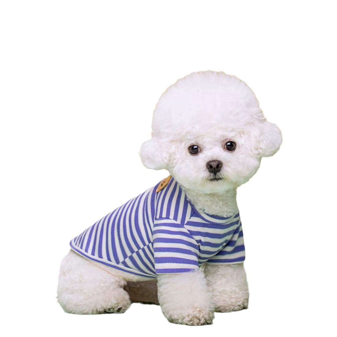 Breathable Summer Pet T Shirt For Comfort