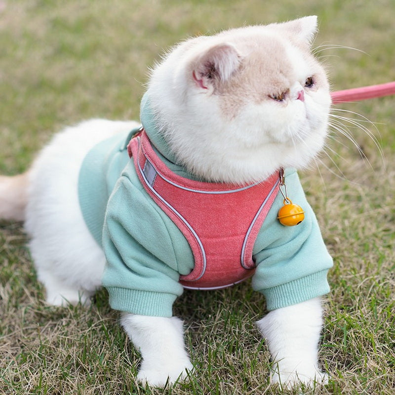 Vest Style Pet Chest Harness Adjustable Walking Leash