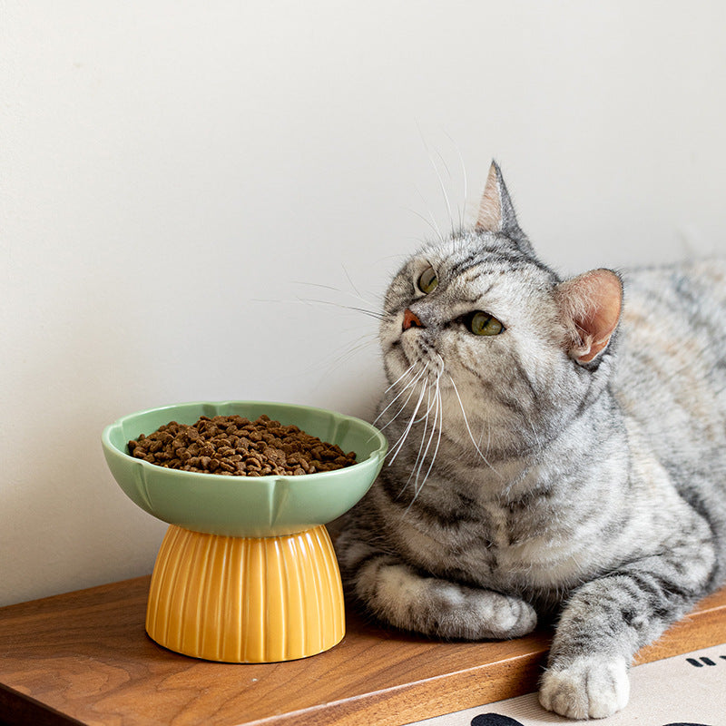Macaron Style Ceramic Pet Feeding Bowl Candy Colors