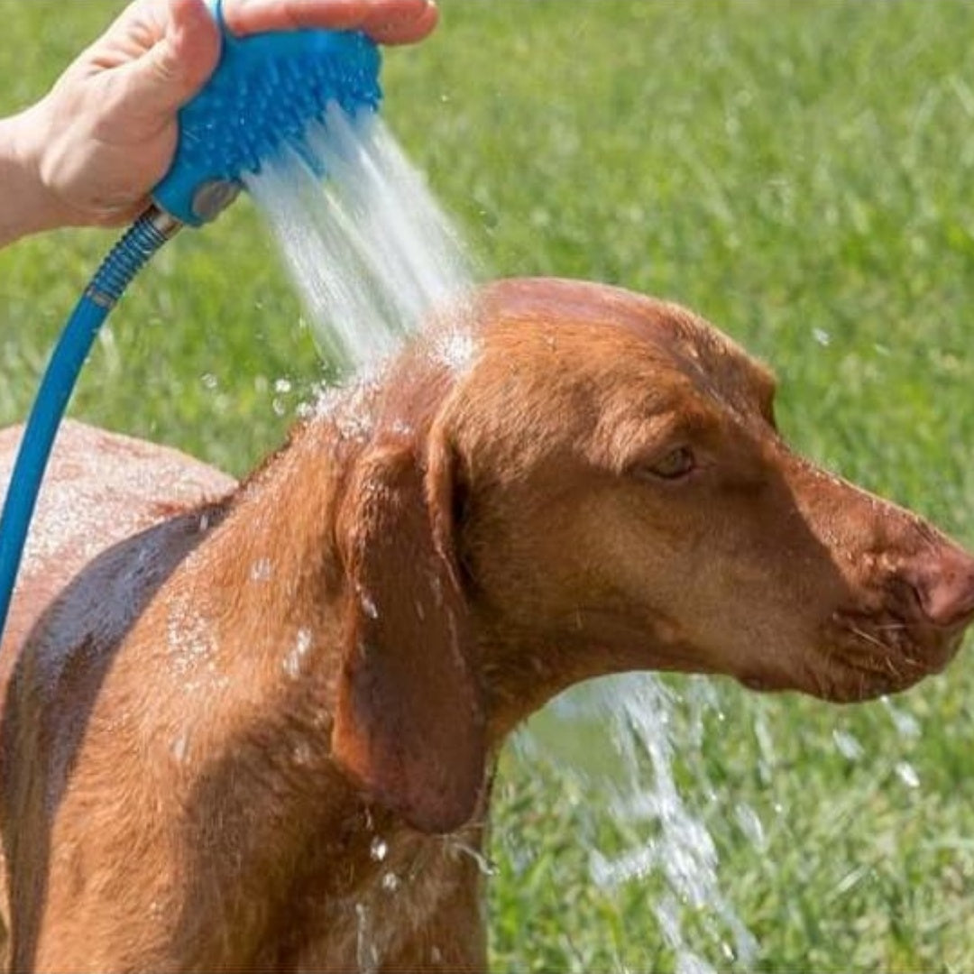 Silicone Pet Bathing Gloves With Handheld Shower Brush