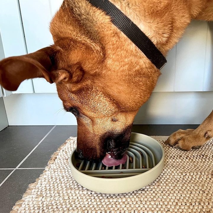 Pet Fashion Simple Slow Feeding Food Bowl Dish