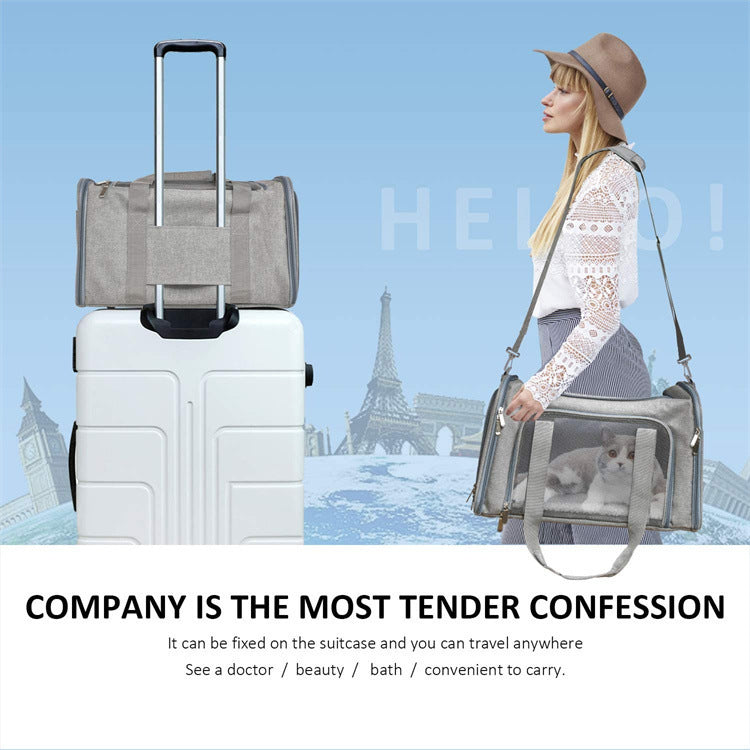 Pet Carrier Bag Portable Foldable Handheld Travel Design
