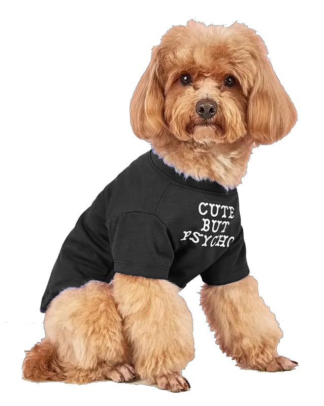 Pet Round Neck T-Shirt Apparel