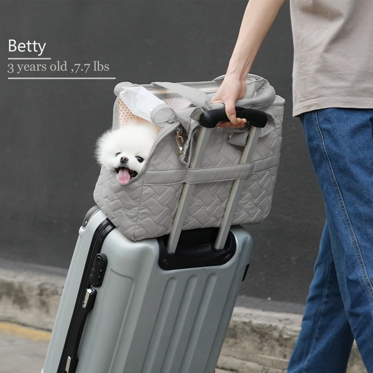 Breathable Mesh Pet Carrier Bag With Soft Cushion And Pockets