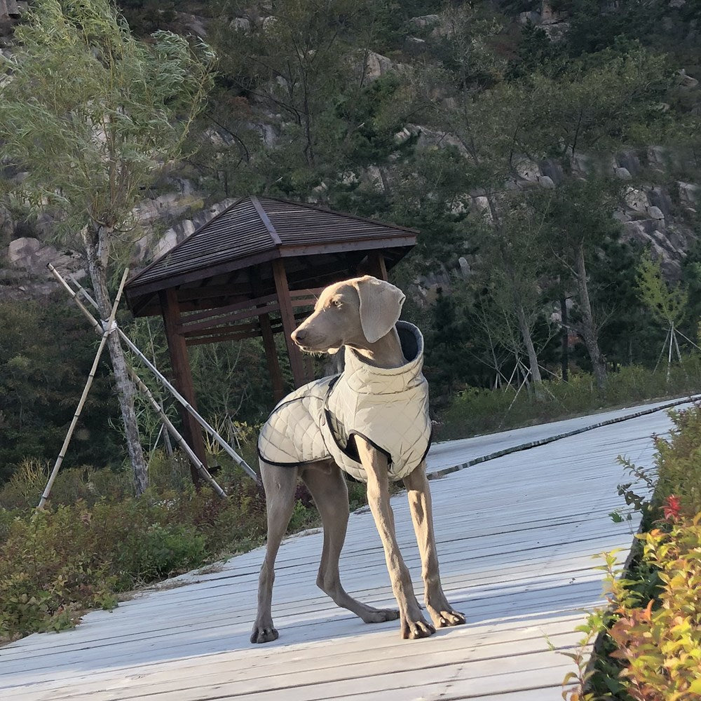 Pet Full Body Reflective Tactical Jacket Apparel