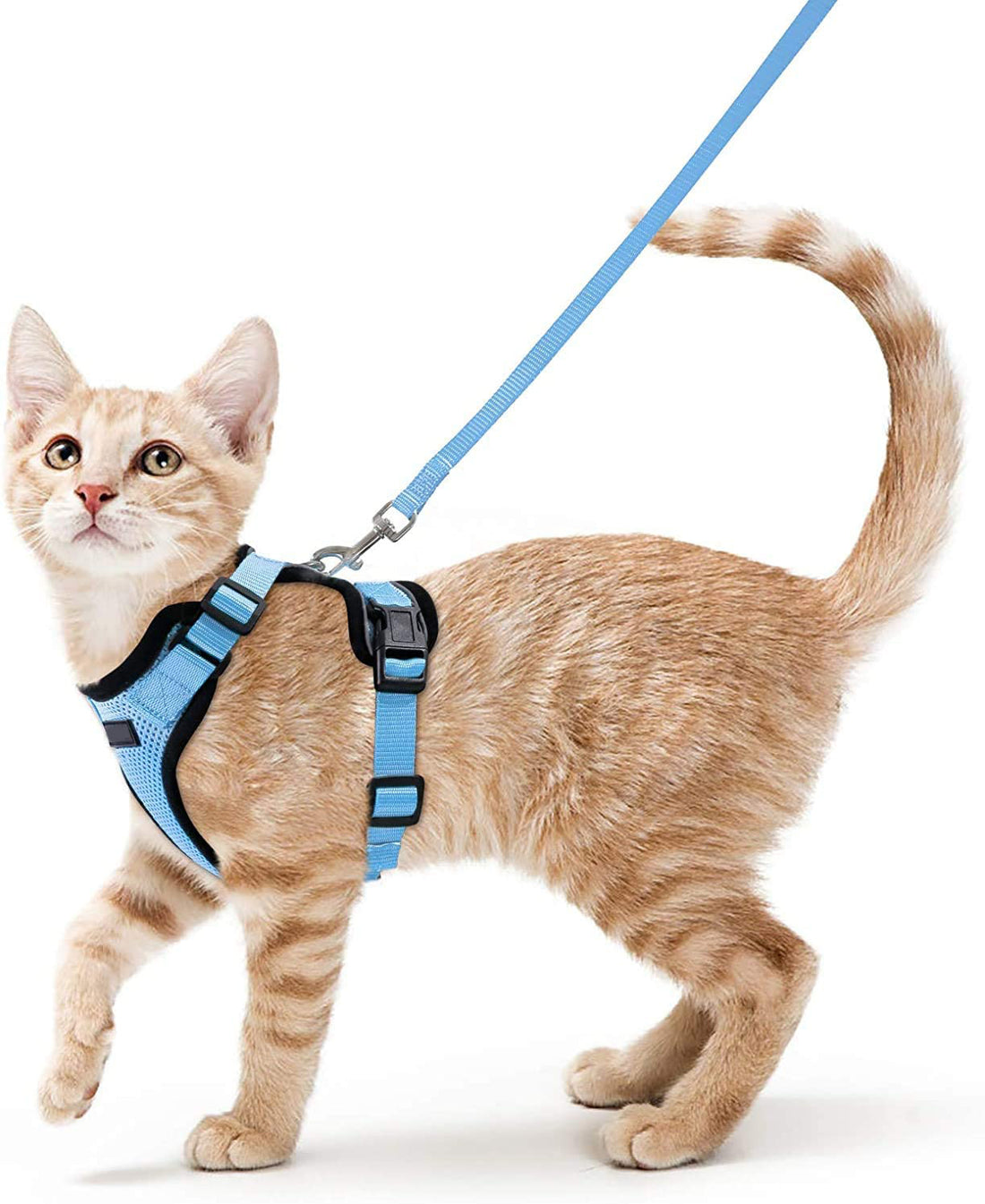 Adjustable Pet Vest Leash Anti Breakaway Secure Harness