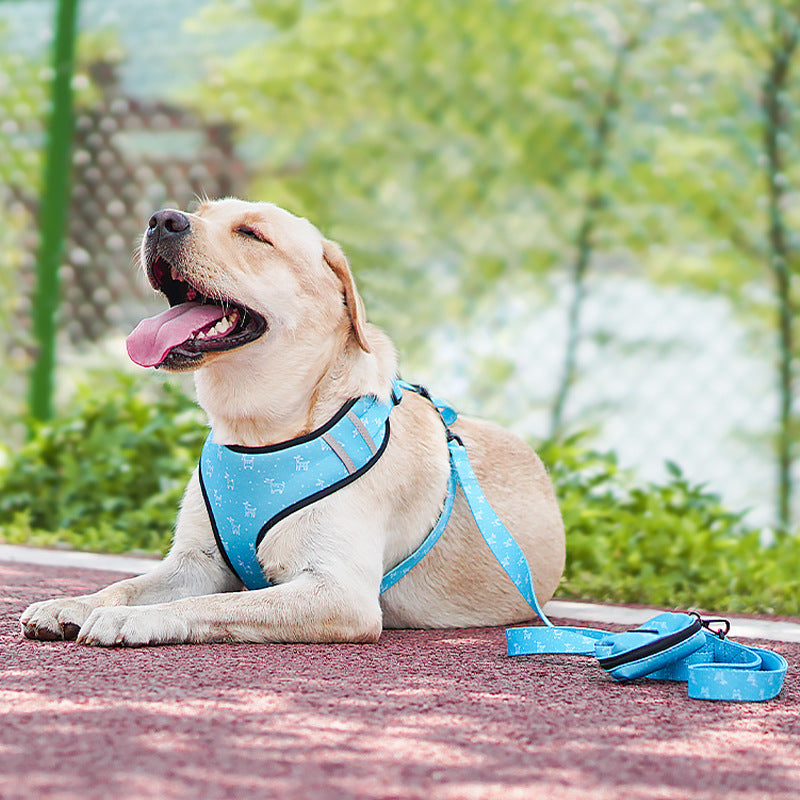 Bow Design Pet Harness And Leash Set