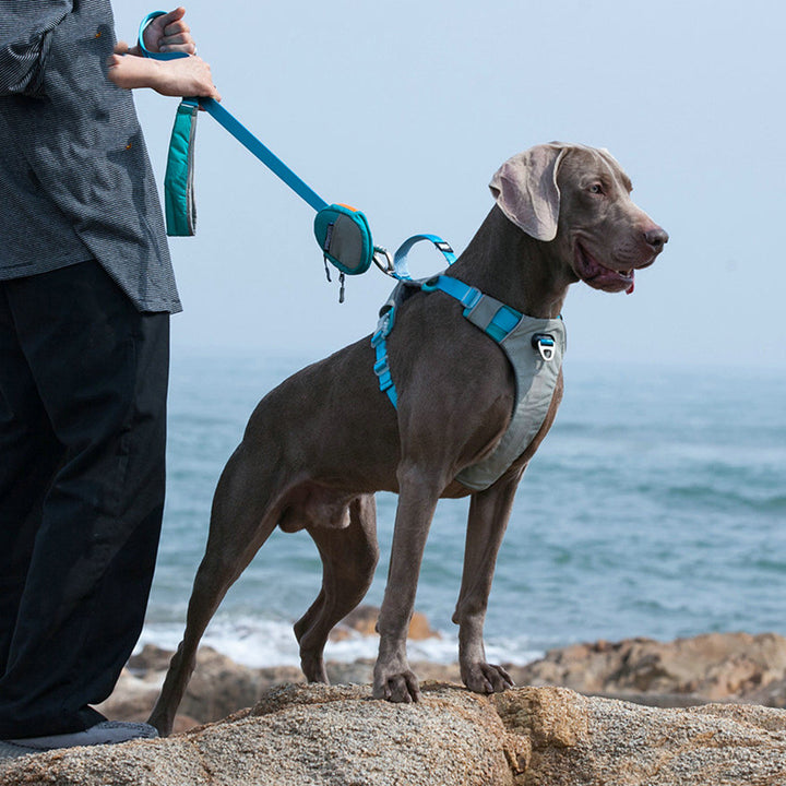 Explosion Proof Pet Chest Strap Leash Storage Bag Adjustable Harness