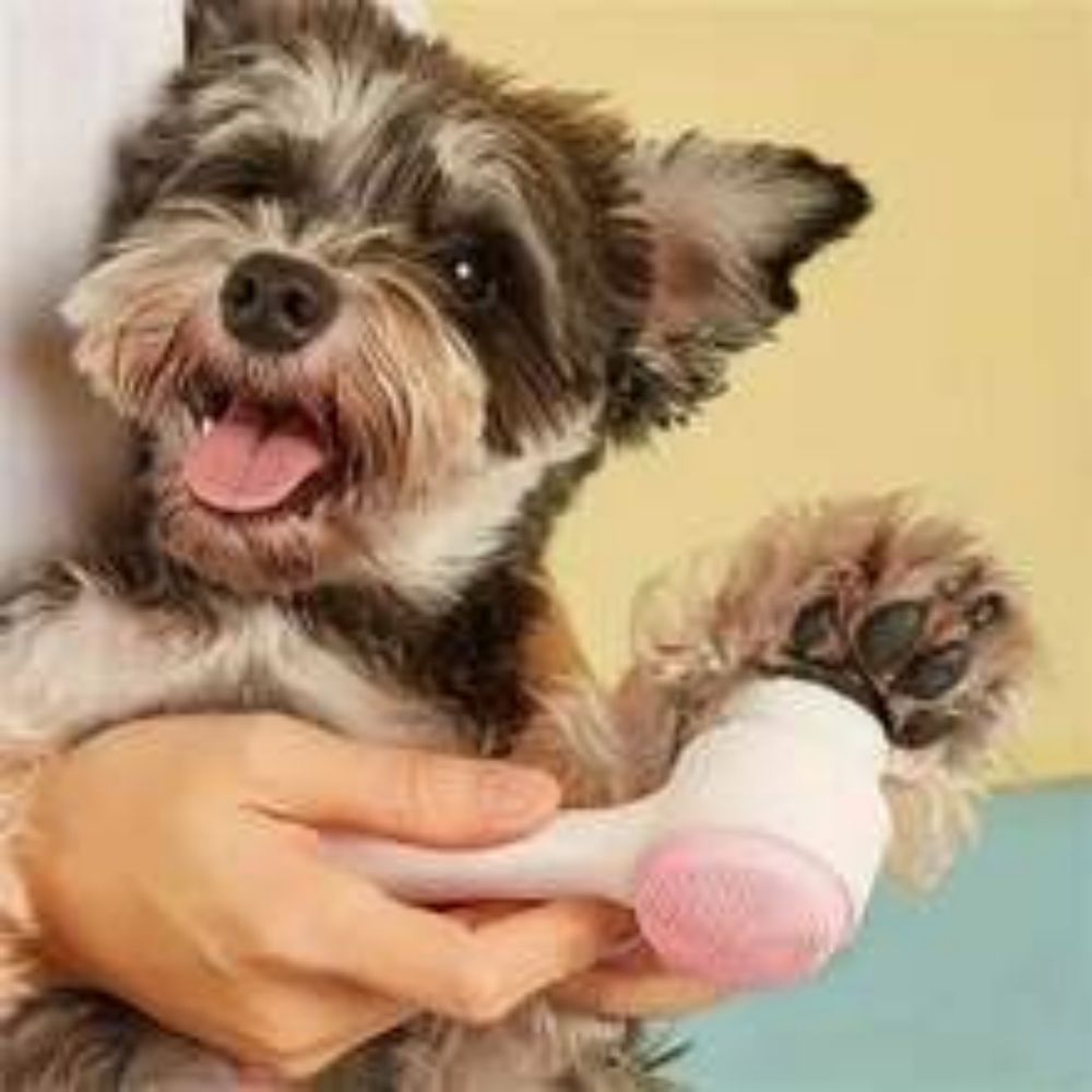 Nylon Pet Paw Grooming Brush Gentle Cleaning And Massage Tool