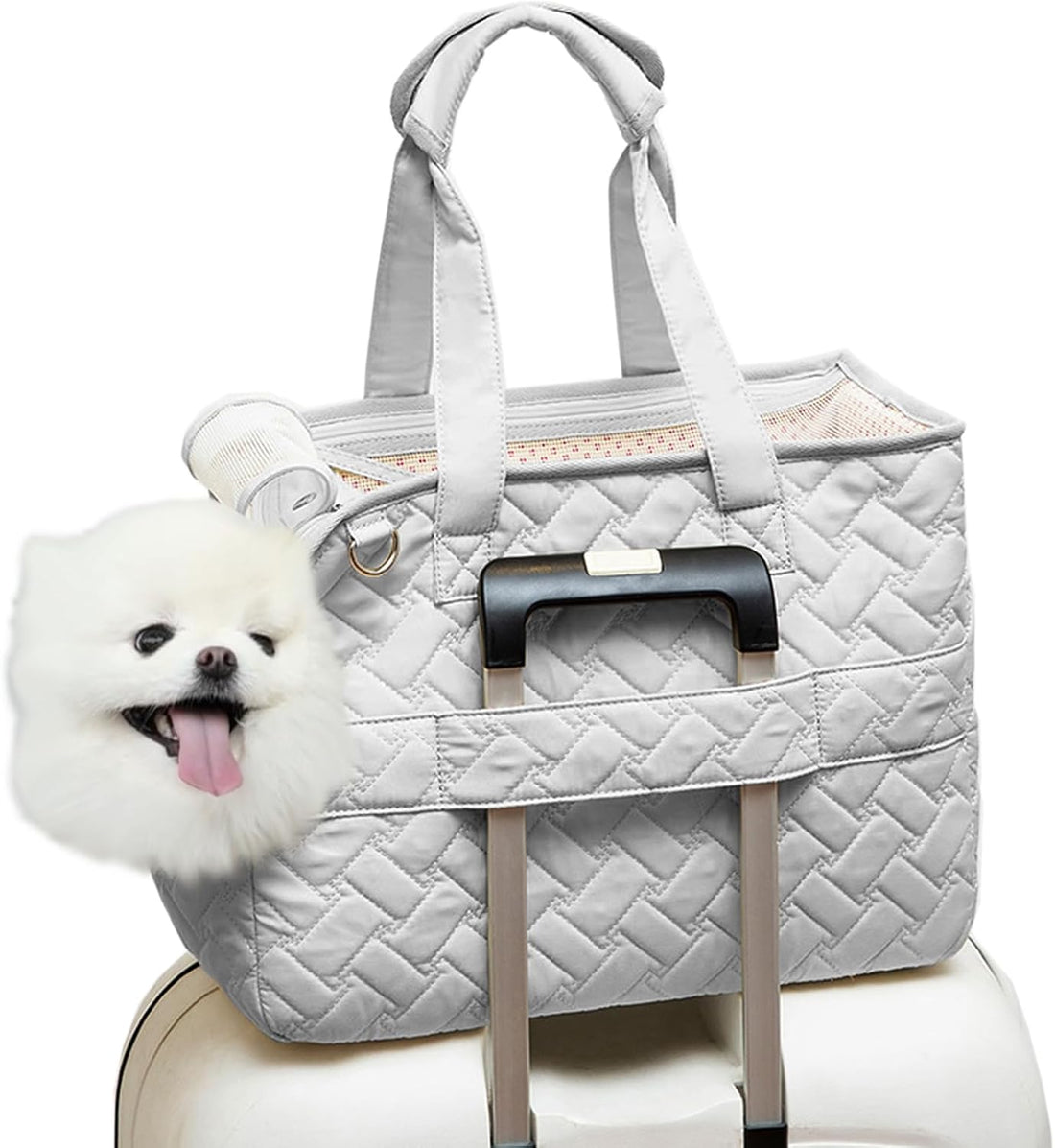 Breathable Mesh Pet Carrier Bag With Soft Cushion And Pockets