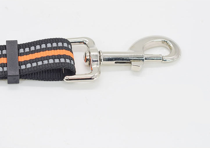 Nylon Assisted Retractable Pet Leash Durable Walking Lead