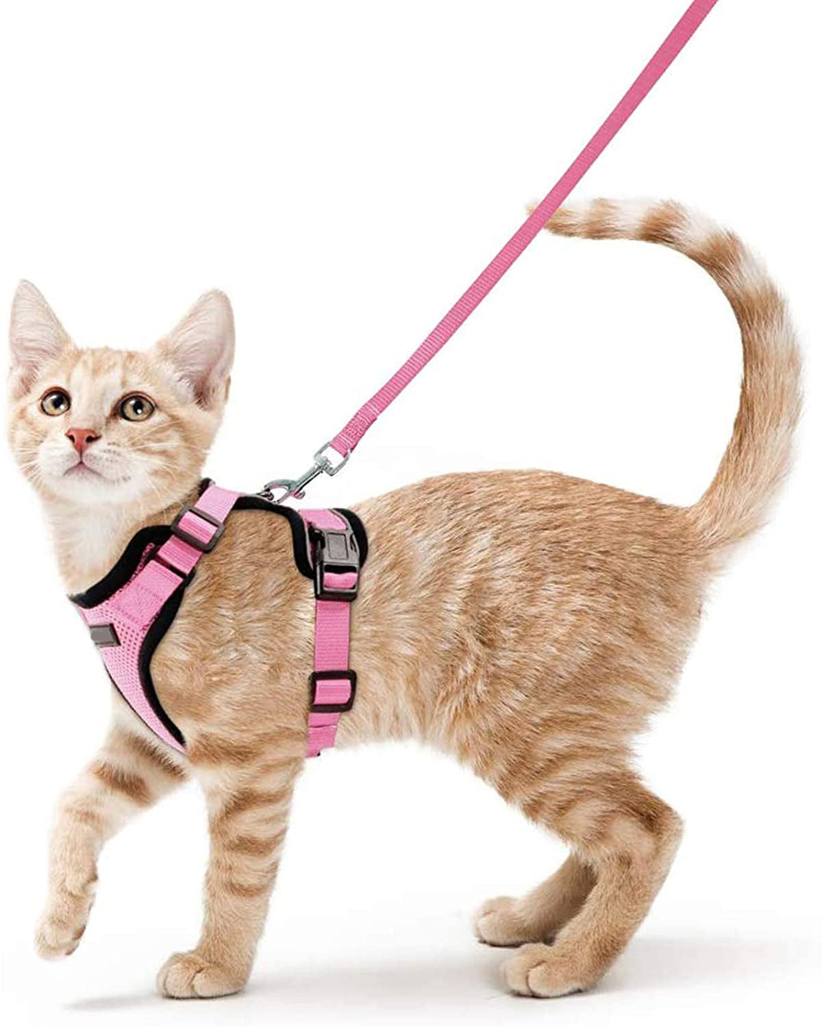 Adjustable Pet Vest Leash Anti Breakaway Secure Harness