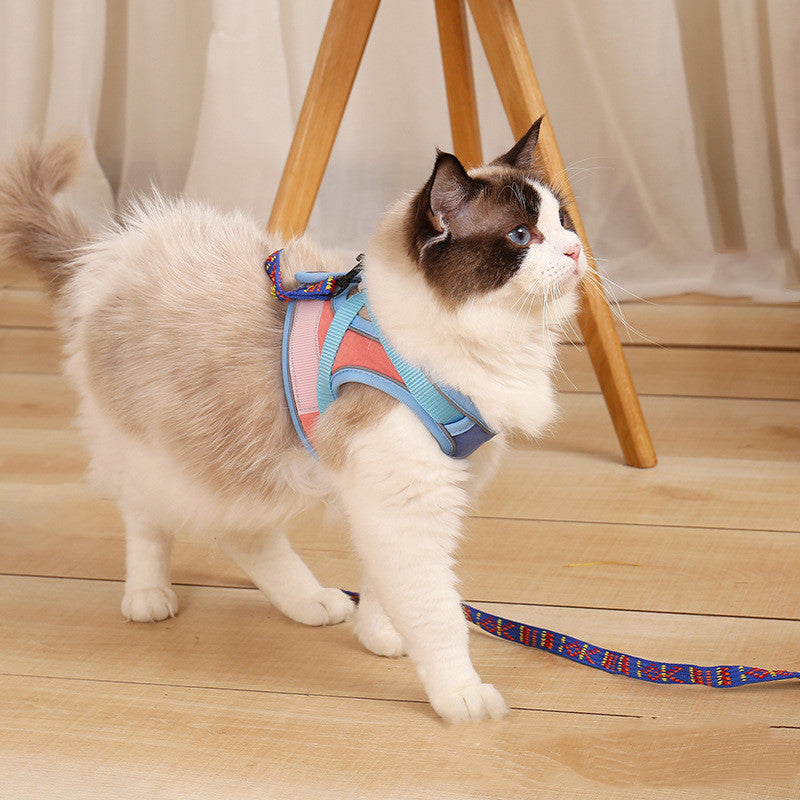 Fashion Pet Leash Anti Escape Secure Walking Lead