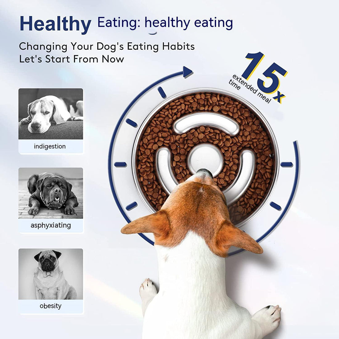 Stainless Steel Pet Slow Feeding Bowl Neck Protector Design